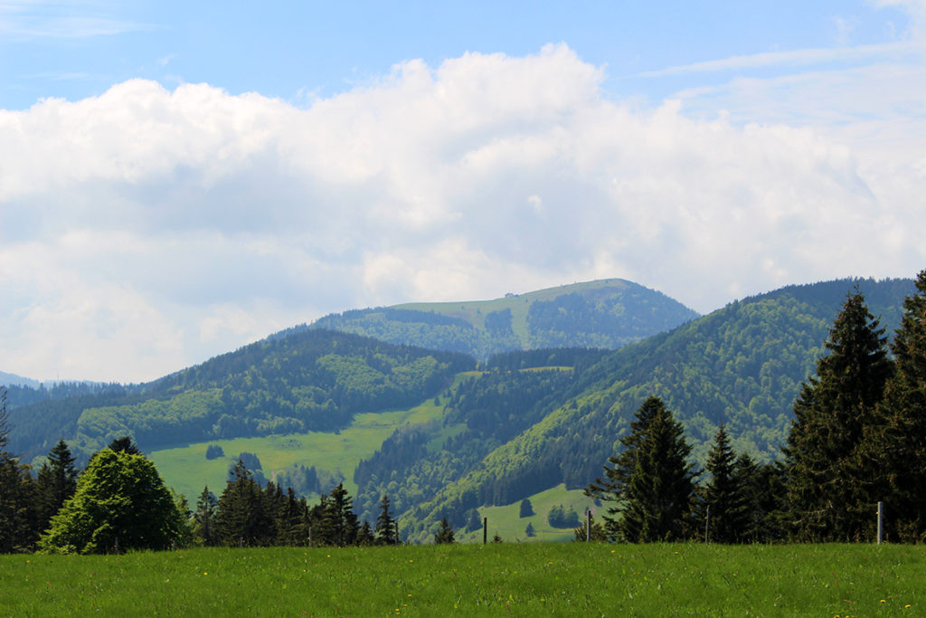 Belchen vom Wiesental aus